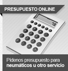 Presupuesto online