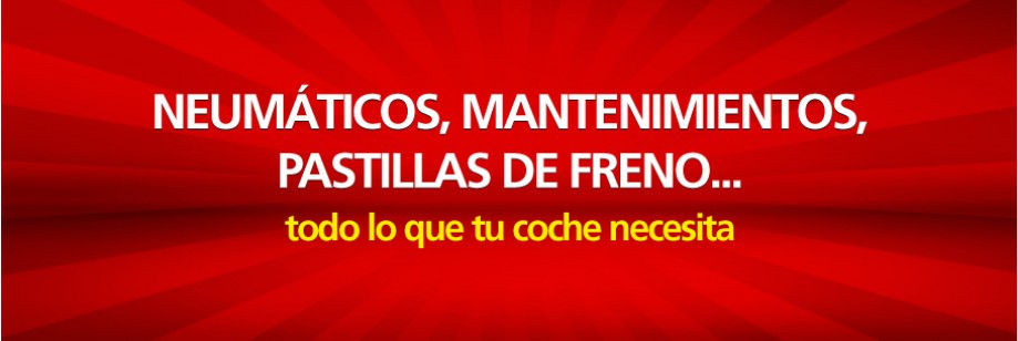 Neumáticos, mantenimiento, pastillas de freno...